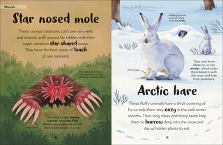 Aperçu du contenu 2_The Bedtime Book of Night-Time Animals