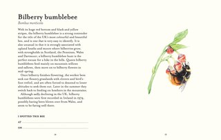 Aper&ccedil;u du contenu_The Bee Spotter&rsquo;s Guide