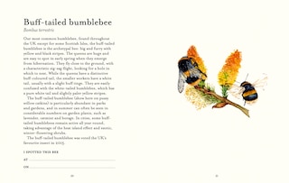Aper&ccedil;u du contenu 2_The Bee Spotter&rsquo;s Guide