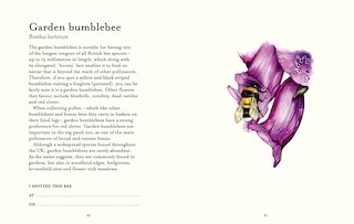 Aper&ccedil;u du contenu 3_The Bee Spotter&rsquo;s Guide