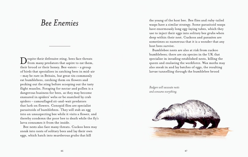 Aper&ccedil;u du contenu 4_The Bee Spotter&rsquo;s Guide