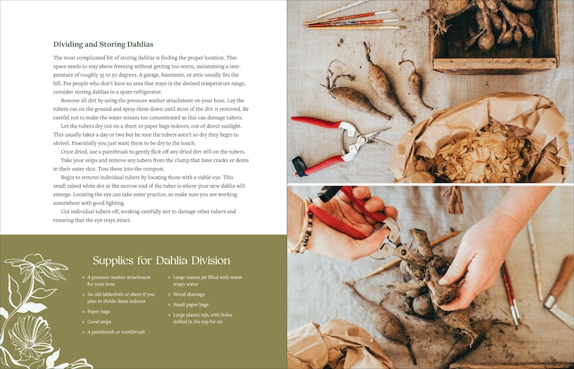 Aperçu du contenu 4_The Beginner’s Cut Flower Garden