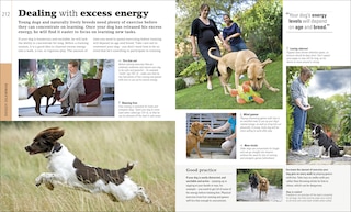 Sample content_The Beginner's Dog Training Guide