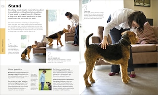Sample content 2_The Beginner's Dog Training Guide