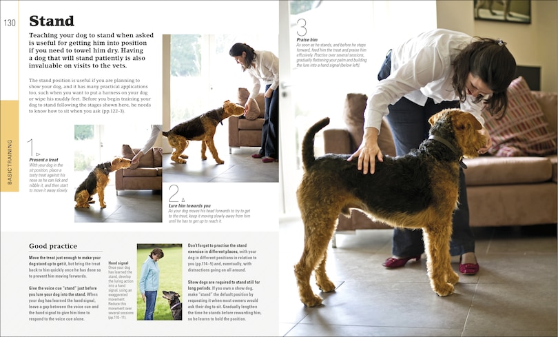 Sample content 2_The Beginner's Dog Training Guide