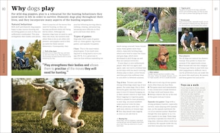Sample content 3_The Beginner's Dog Training Guide