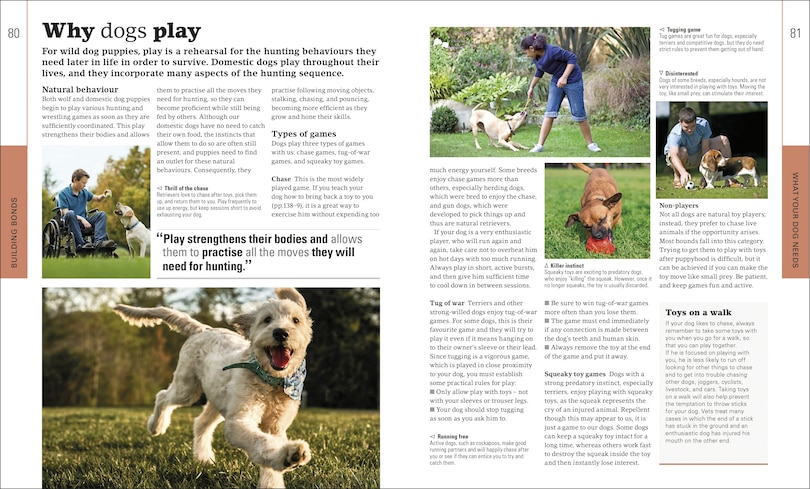 Sample content 3_The Beginner's Dog Training Guide