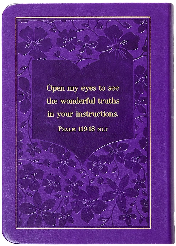 Back cover_The Bible Reading Plan Devotional for Women