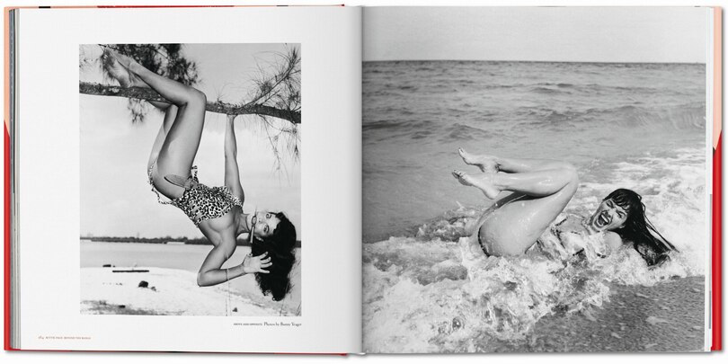 Sample content 3_The Big Book of Legs