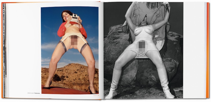 Sample content 4_The Big Book of Pussy