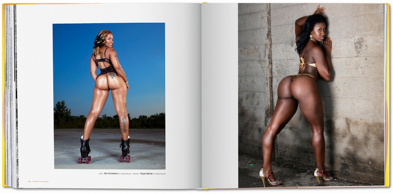 Sample content_The Big Butt Book