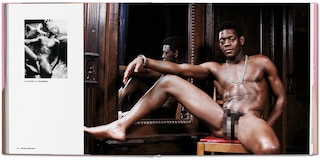 Sample content_The Big Penis Book