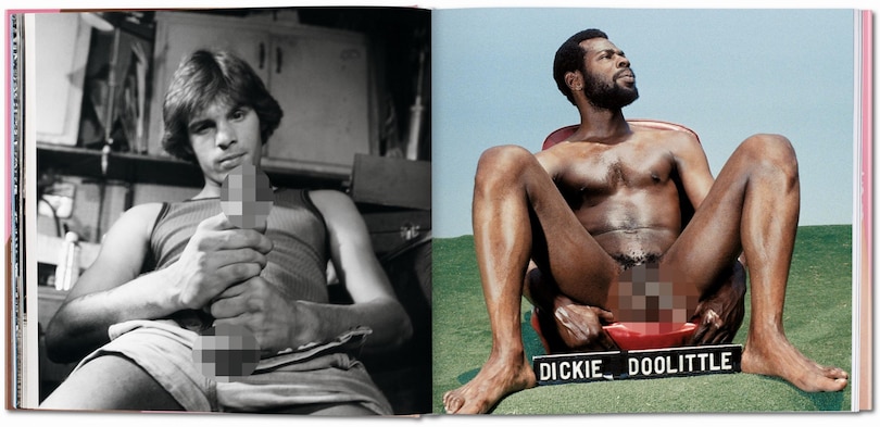 Sample content 5_The Big Penis Book