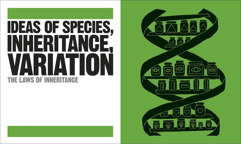 Aper&ccedil;u du contenu 3_The Biology Book