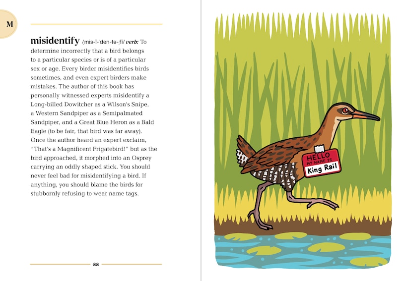 Sample content_The Birding Dictionary