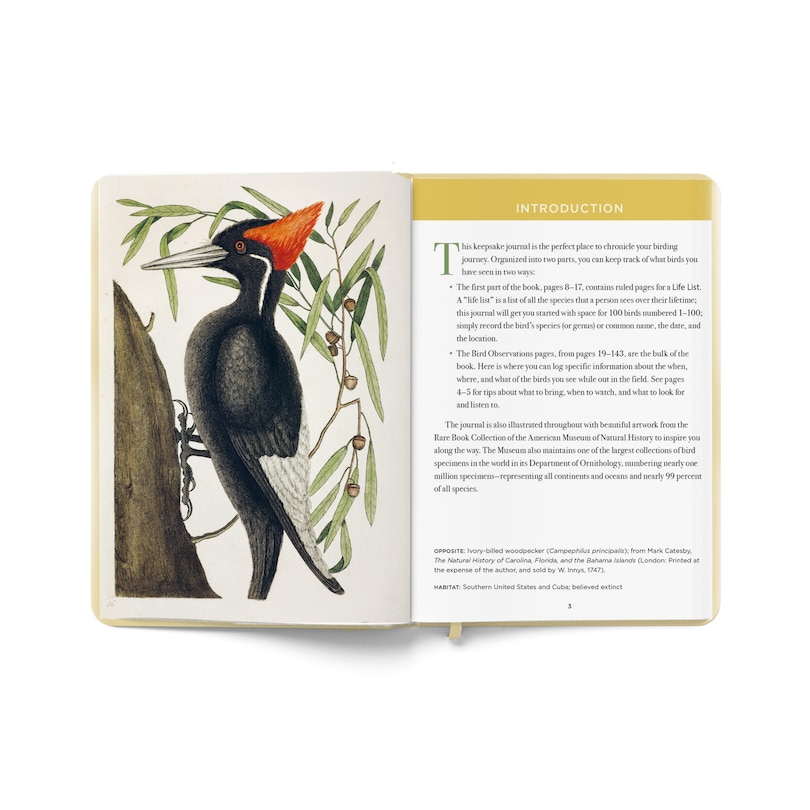 Sample content 3_The Birdwatcher's Field Journal