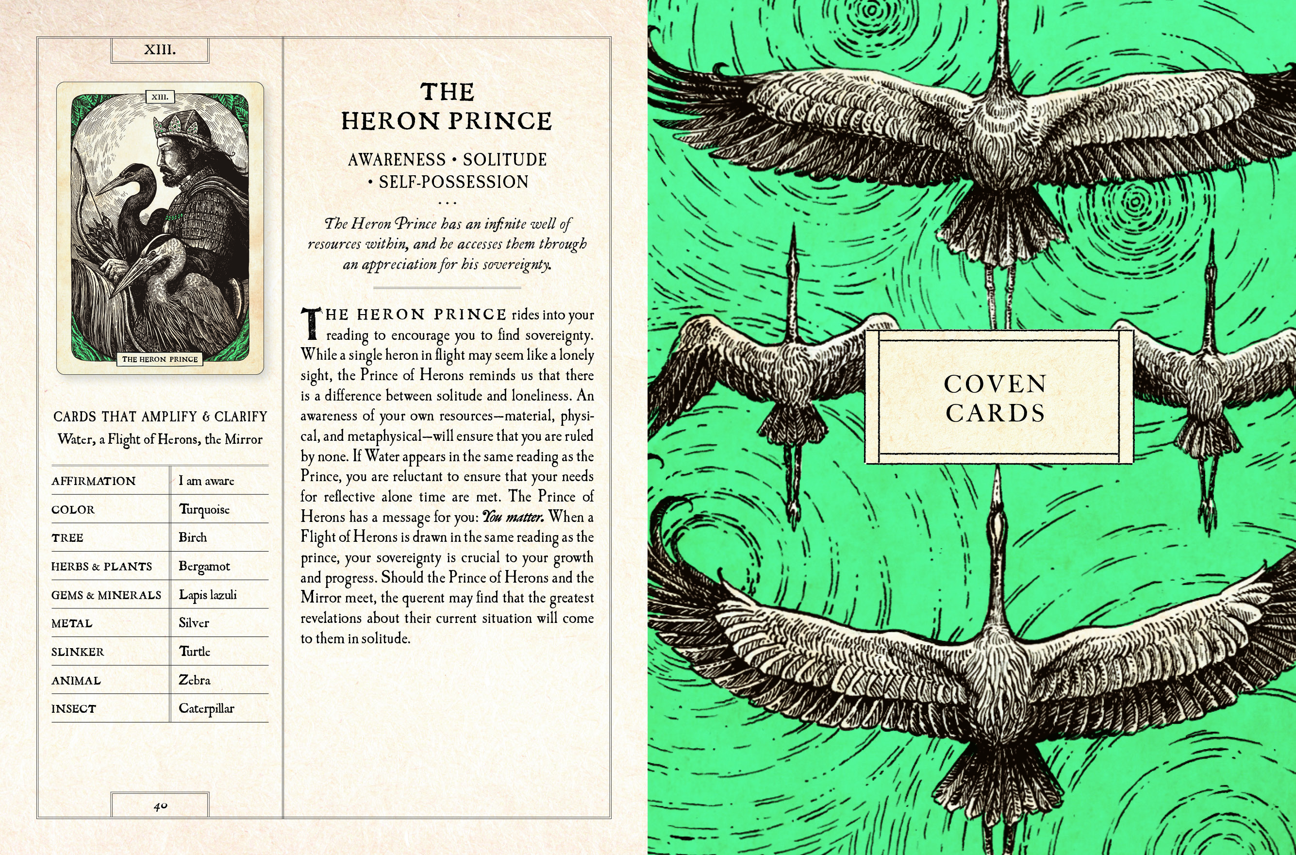 Aper&ccedil;u du contenu 2_The Black Bird Oracle Deck