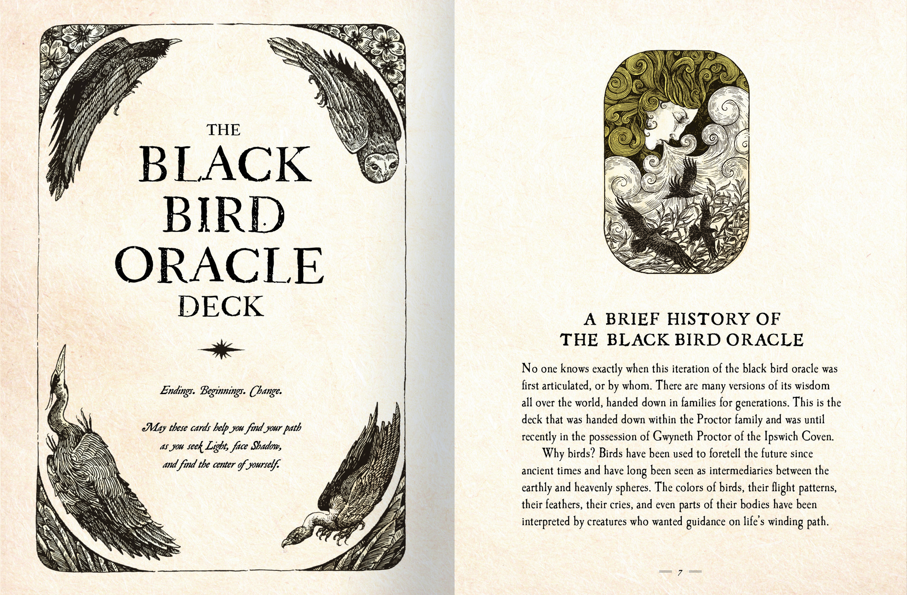 Aper&ccedil;u du contenu 4_The Black Bird Oracle Deck