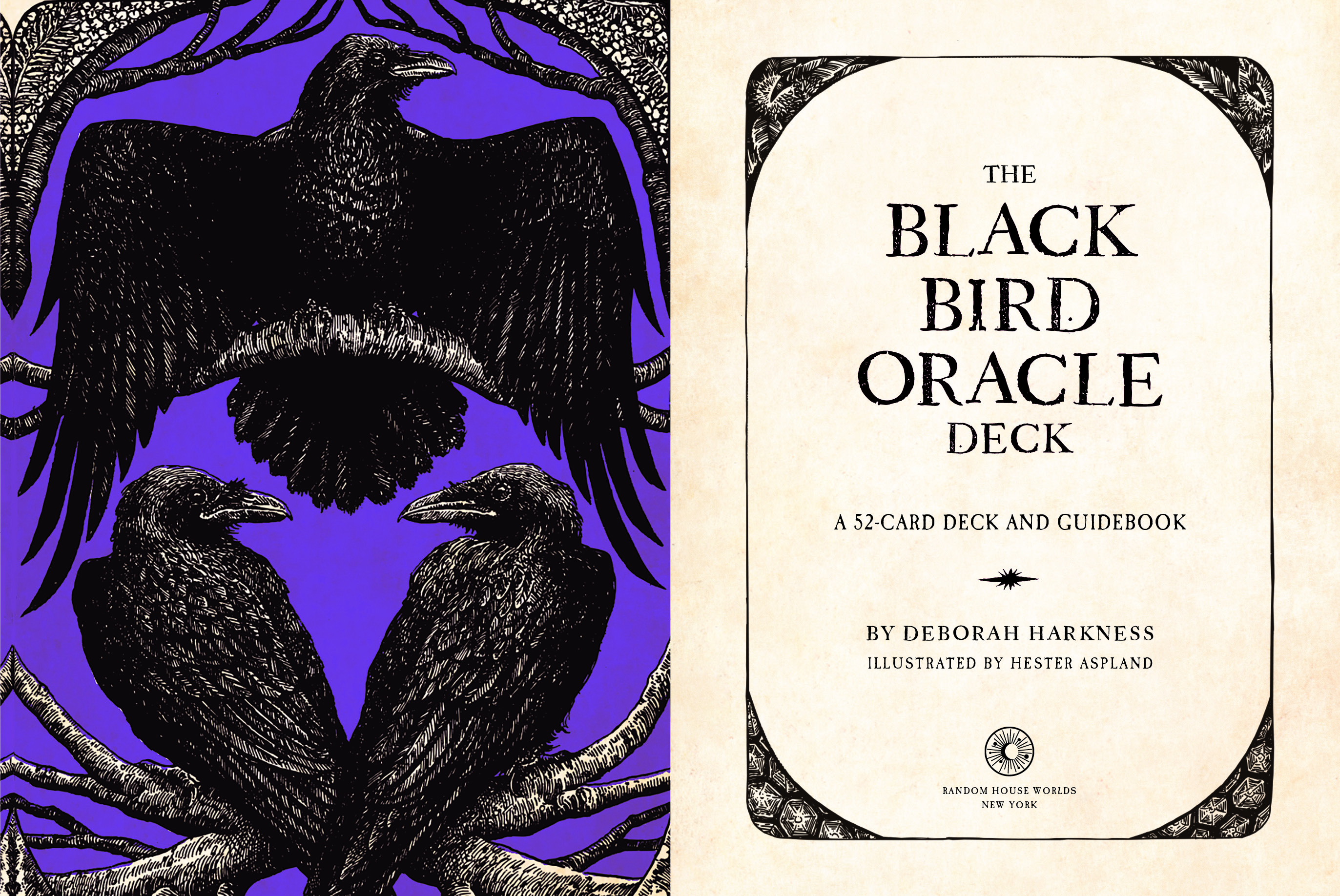 Aper&ccedil;u du contenu 5_The Black Bird Oracle Deck