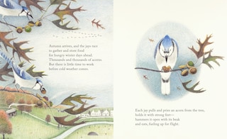 Sample content_The Blue Jays That Grew a Forest