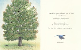 Sample content 3_The Blue Jays That Grew a Forest
