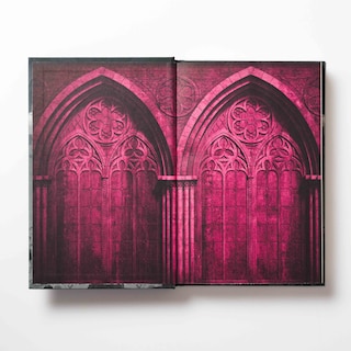 Aper&ccedil;u du contenu 3_The Book of Blood and Roses