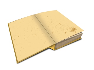 Sample content_The Book of Dust: The Rose Field (Book of Dust, Volume 3)
