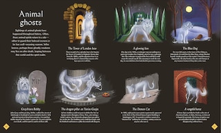 Aper&ccedil;u du contenu 3_The Book of Mysteries, Magic, and the Unexplained