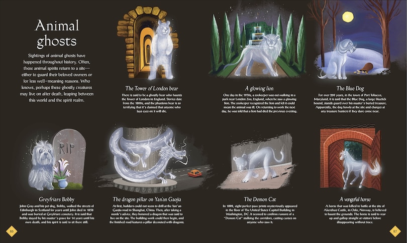 Aper&ccedil;u du contenu 3_The Book of Mysteries, Magic, and the Unexplained