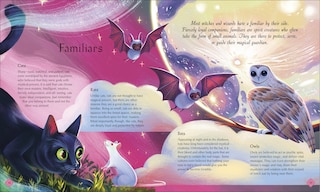 Aper&ccedil;u du contenu 5_The Book of Mysteries, Magic, and the Unexplained