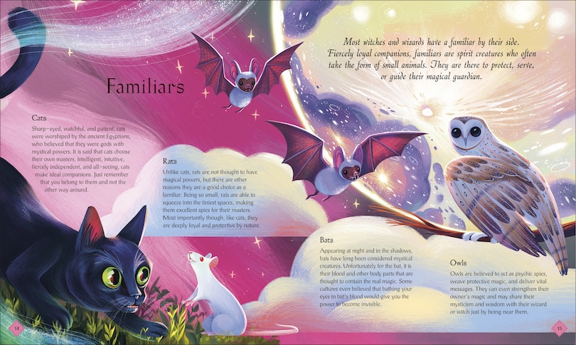 Aper&ccedil;u du contenu 5_The Book of Mysteries, Magic, and the Unexplained