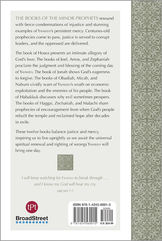 Back cover_The Books of the Minor Prophets