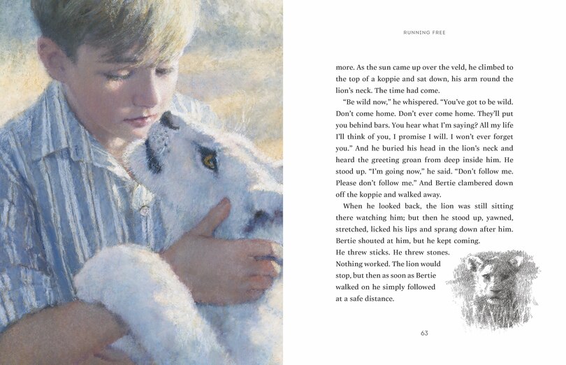 Aper&ccedil;u du contenu 3_The Butterfly Lion