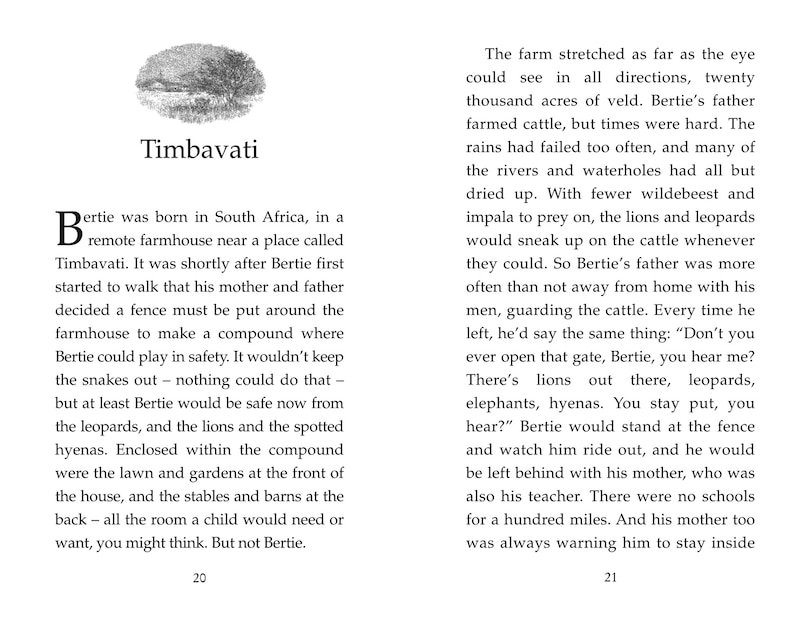 Aper&ccedil;u du contenu_The Butterfly Lion