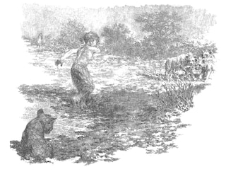 Aper&ccedil;u du contenu 2_The Butterfly Lion