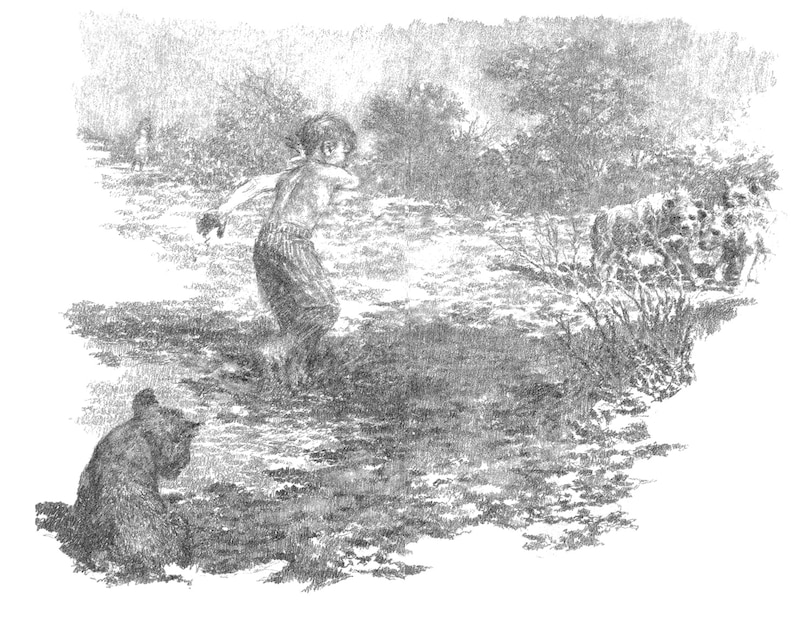 Aper&ccedil;u du contenu 2_The Butterfly Lion