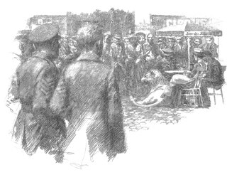 Aper&ccedil;u du contenu 4_The Butterfly Lion