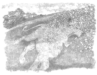 Aper&ccedil;u du contenu 5_The Butterfly Lion