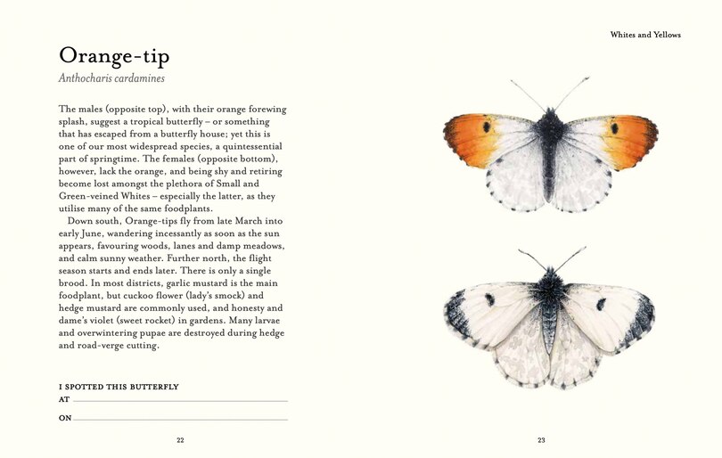 Sample content_The Butterfly Spotter’s Guide (National Trust)