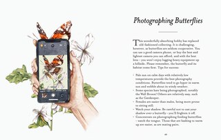 Sample content 2_The Butterfly Spotter’s Guide (National Trust)
