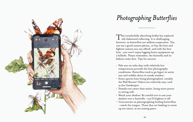 Sample content 2_The Butterfly Spotter’s Guide (National Trust)