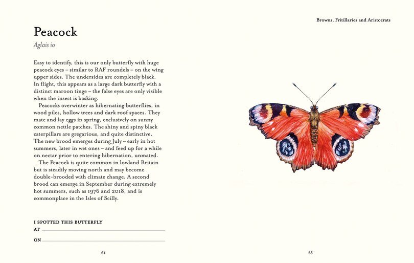 Sample content 4_The Butterfly Spotter’s Guide (National Trust)
