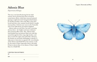 Sample content 5_The Butterfly Spotter’s Guide (National Trust)