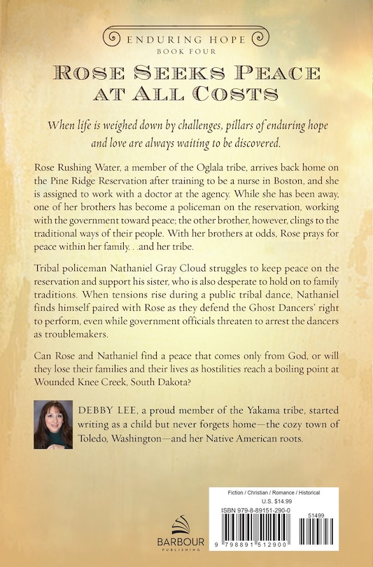 Back cover_The Caregiver at Wounded Knee