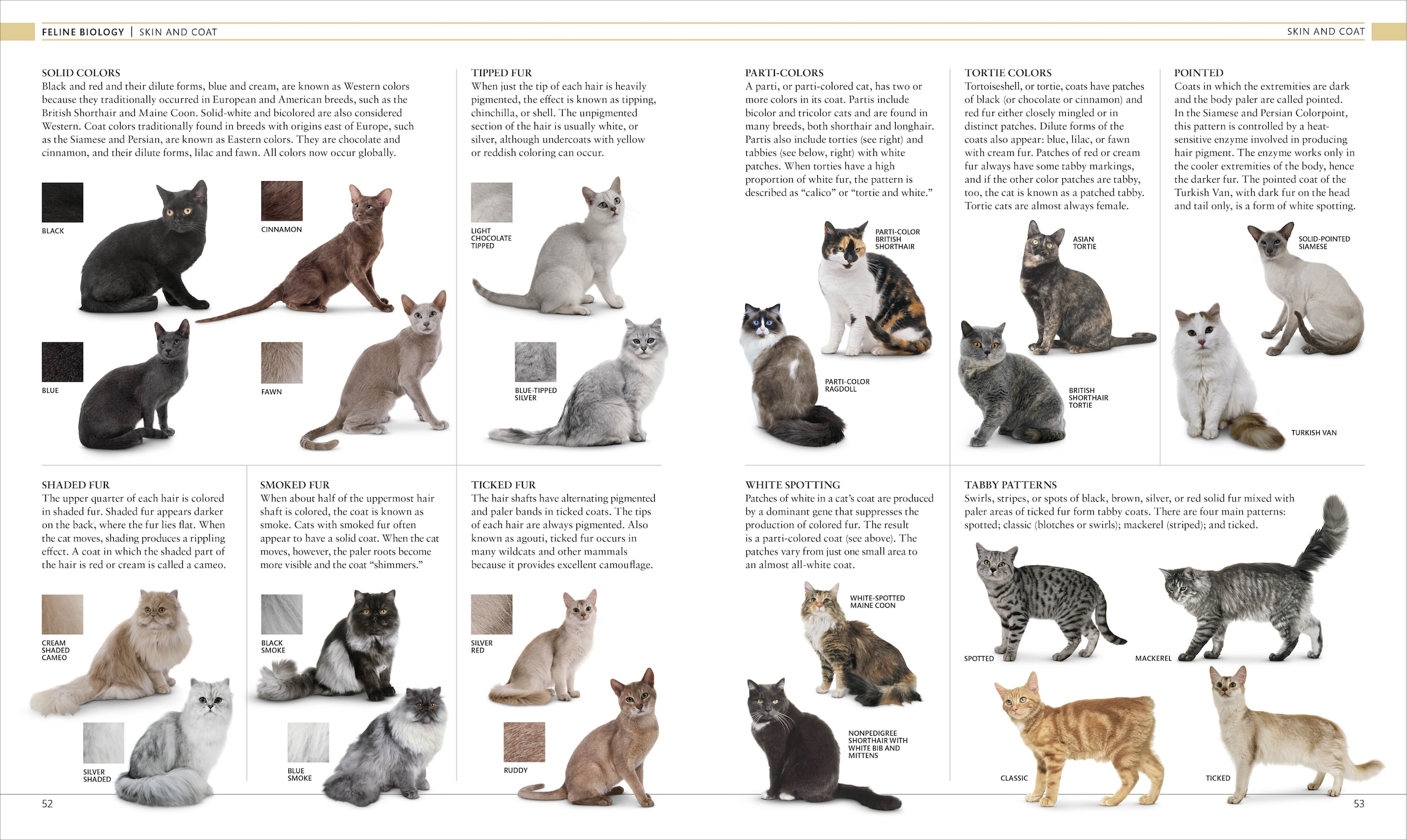 The Cat Encyclopedia: The Definitive Visual Guide Book By Dk, ('tc