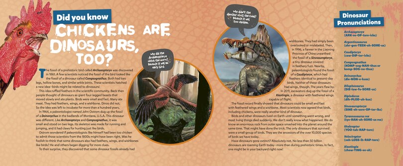 Aper&ccedil;u du contenu_The Chick-o-saurus