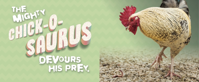 Aper&ccedil;u du contenu 2_The Chick-o-saurus