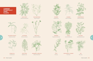 Sample content_The Chicken Encyclopedia