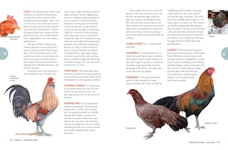 Sample content 3_The Chicken Encyclopedia