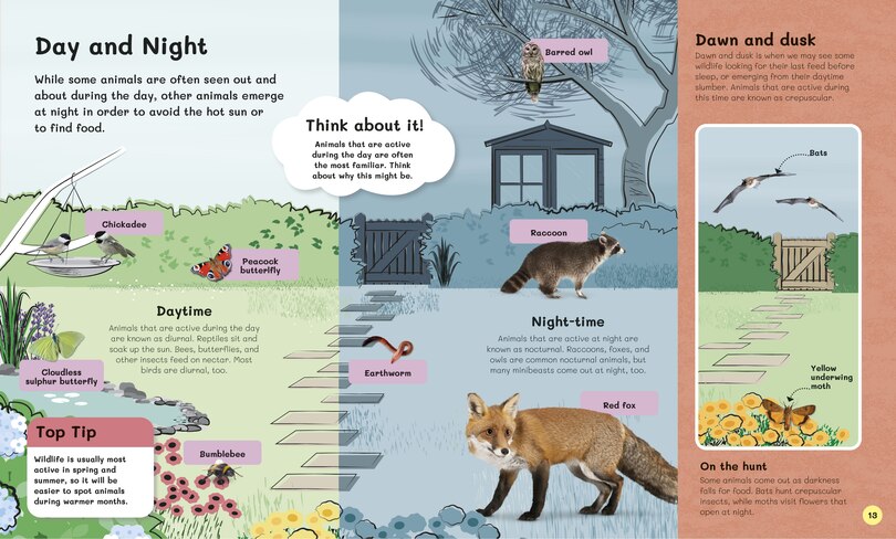 Sample content_The Children's Book of Wildlife Watching